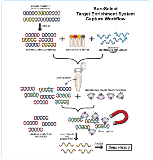 365Ӣ������(����)���޹�˾-Official website