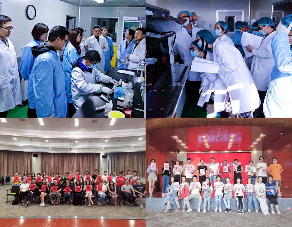 365Ӣ������(����)���޹�˾-Official website