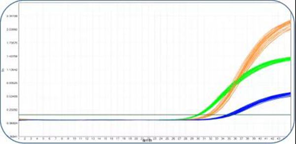 365Ӣ������(����)���޹�˾-Official website