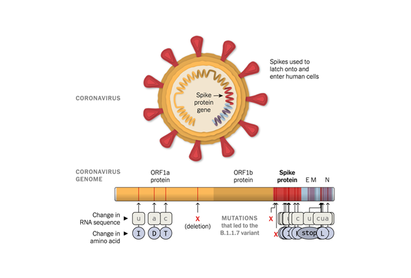 365Ӣ������(����)���޹�˾-Official website