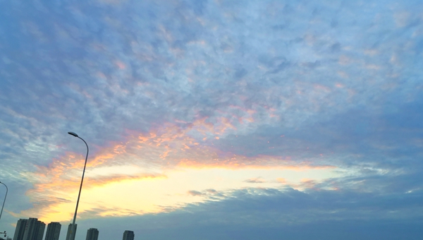 365Ӣ������(����)���޹�˾-Official website