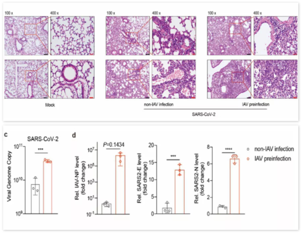 365Ӣ������(����)���޹�˾-Official website