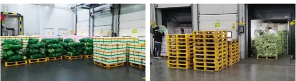 365Ӣ������(����)���޹�˾-Official website